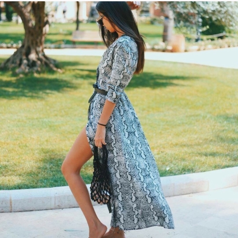 Zara Snakeskin Print Dress